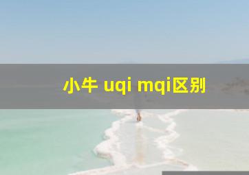 小牛 uqi mqi区别